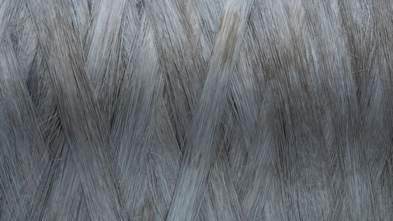 中国·yl8cc永利(股份)有限公司-官方网站